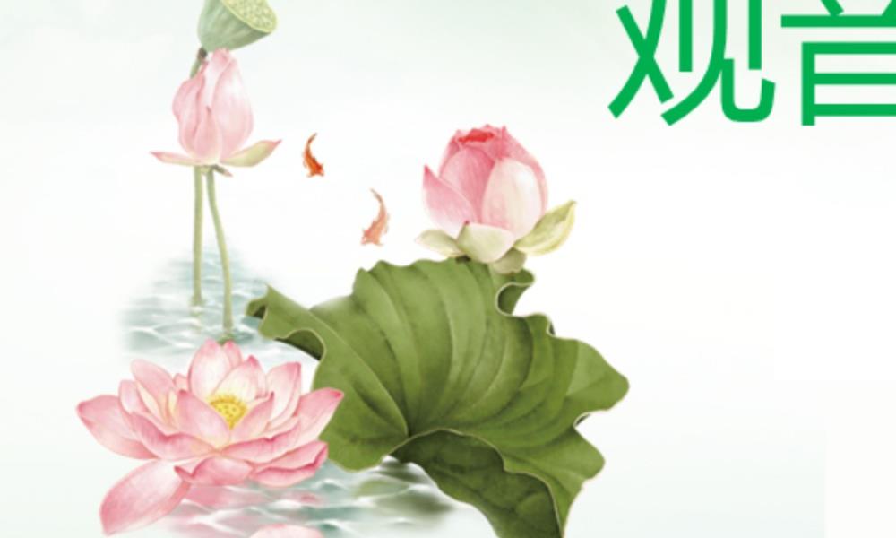 观音神针视频加文档电子版 官网：国学资源，国学资料，国学五术资料高端法本