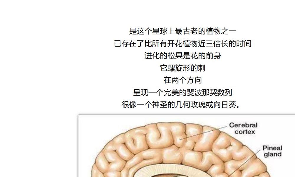 特异功能与超能力174页电子版 官网：国学资源，国学资料，国学五术资料高端法本