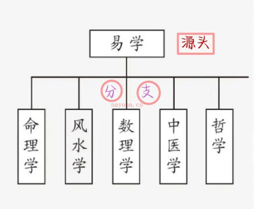 周易入门看什么书?从曾仕强到南怀瑾，5年学易经验吐血推荐