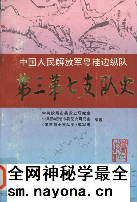 中国人民解放军粤桂边纵队第三第七支队史.pdf电子版_广西壮族自治区志插图