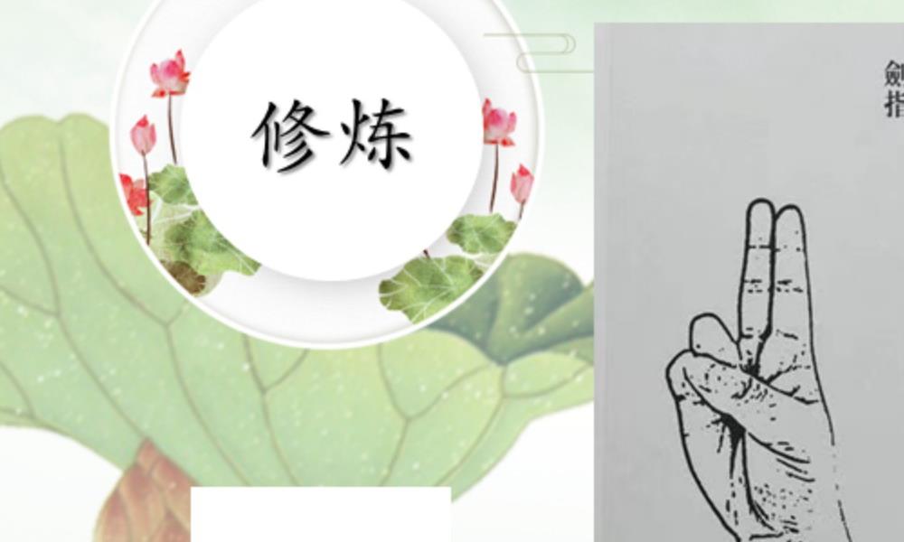 观音神针视频加文档电子版 官网:国学资源,国学资料,国学五术资料高端法本