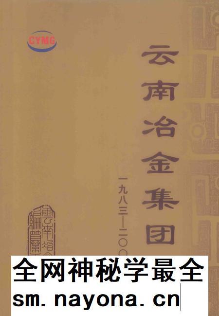 云南冶金集团志  1983-2003年.pdf电子版_云南省志插图