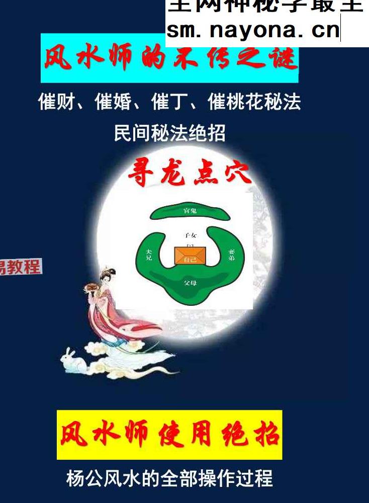 《风水师的不传之谜》清晰版pdf 1054页
