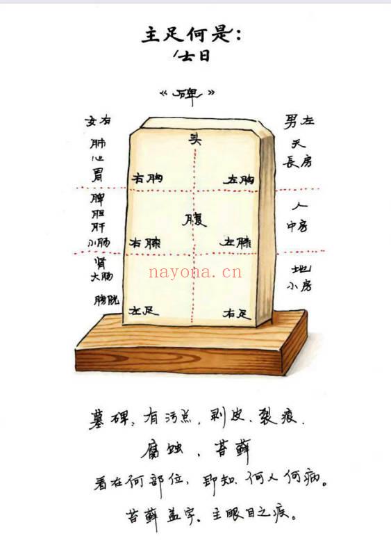 《望坟断》望坟直断绝招，出官，出贵，出人才、入坟断-91页.PDF电子版