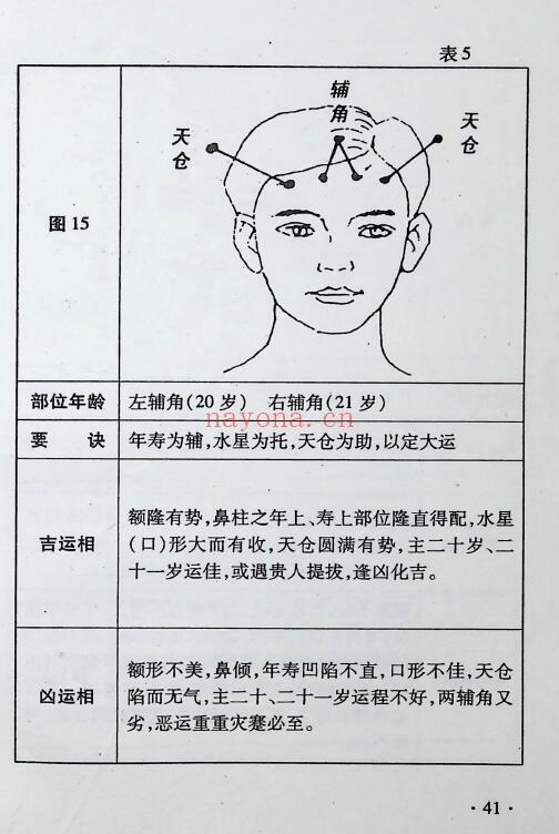 邓朝晖 李函辰《相术悟惑》321页 手相面相 第6张
