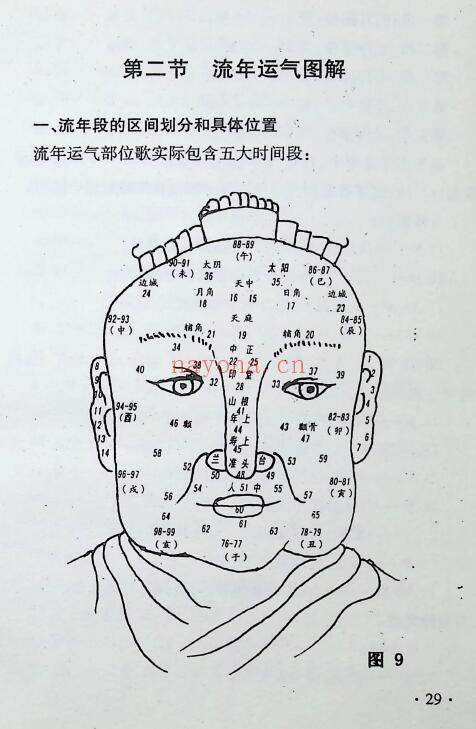 邓朝晖 李函辰《相术悟惑》321页 手相面相 第4张