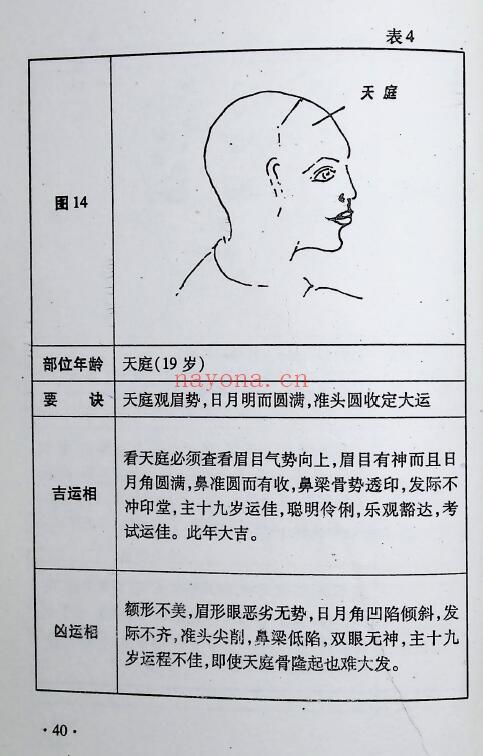 邓朝晖 李函辰《相术悟惑》321页 手相面相 第5张