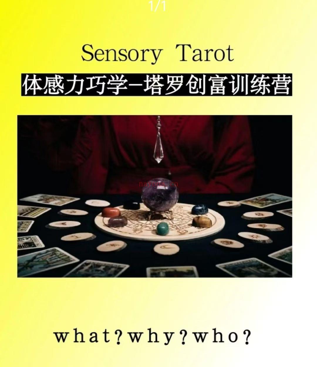 【塔罗课】体感力巧学-塔罗创富训练营