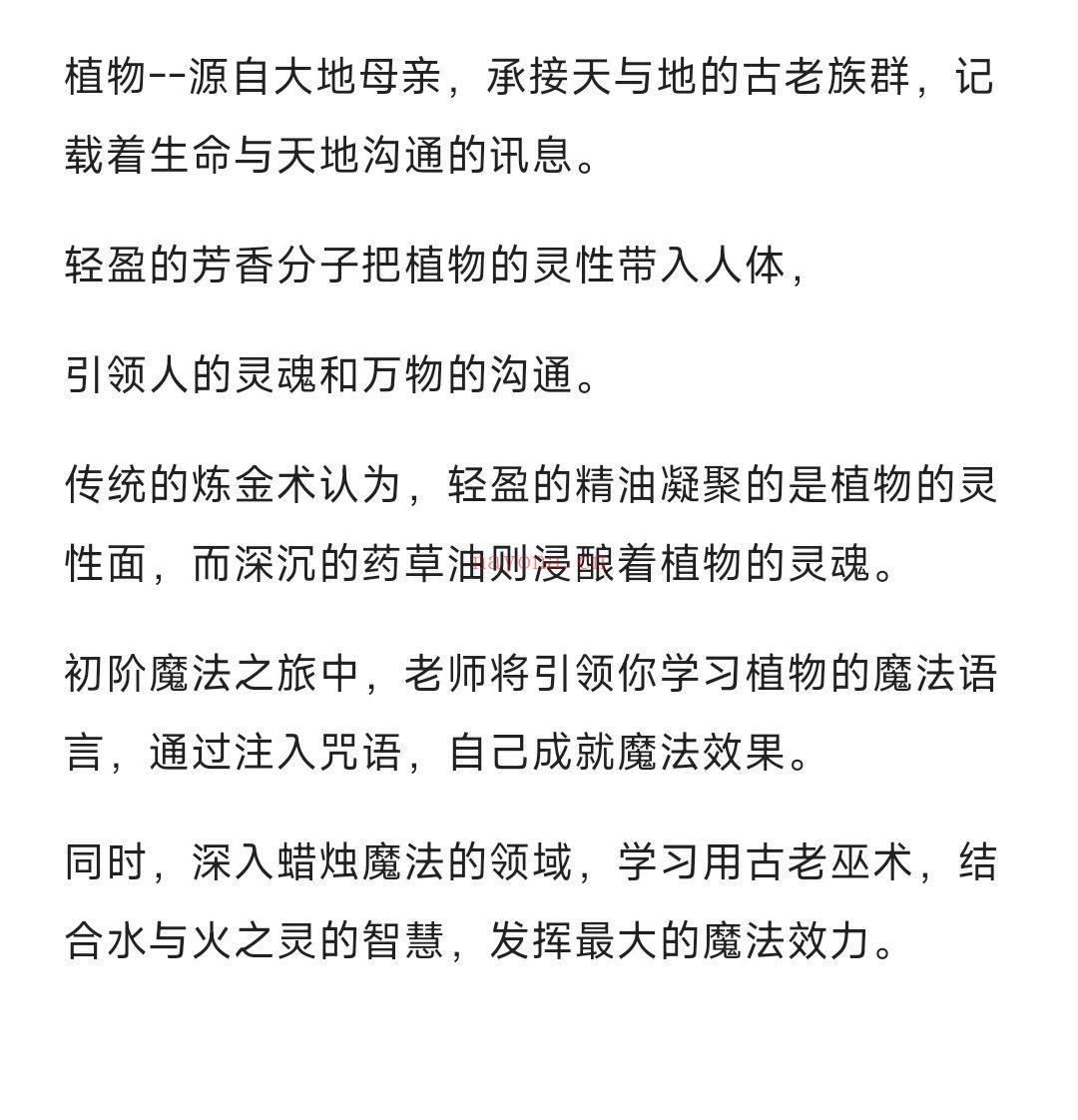 花花魔法油初阶+进阶课程初阶魔法之旅