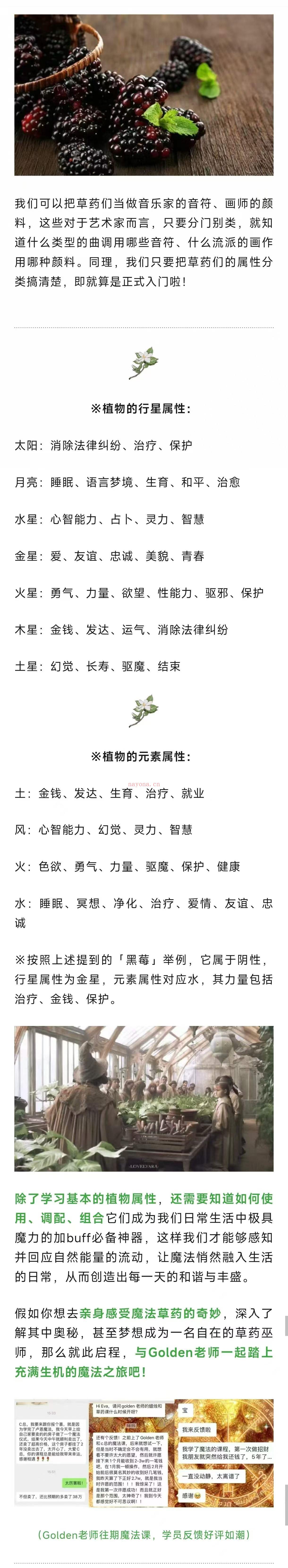 【魔草法药】万众期待的C总机构魔法必修
