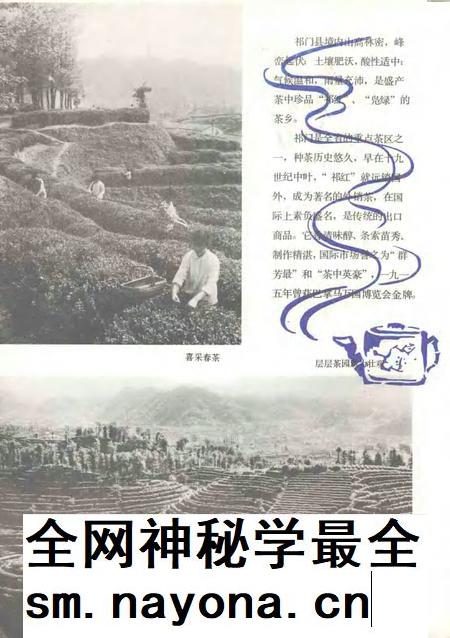 祁门风光.pdf电子版_安徽省志插图5 祁门风光.pdf电子版_安徽省志插图5