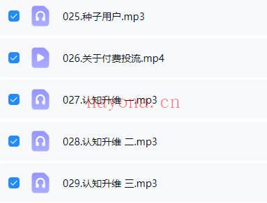 《术数从业指导班》视频课+音频课 共29节
