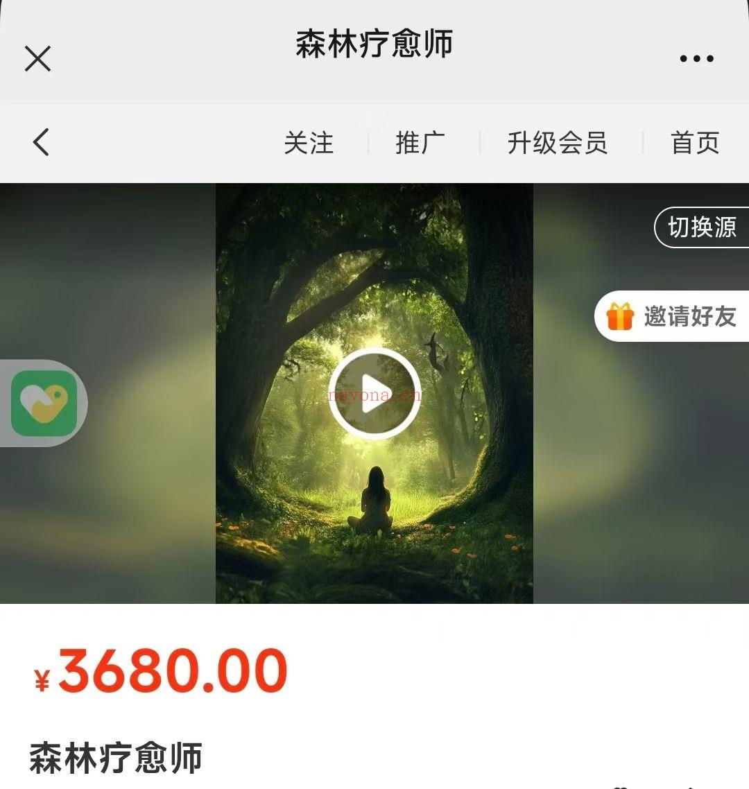【森林疗愈】满舵 森林疗愈师课程​