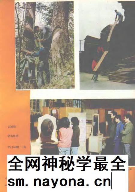 祁门风光.pdf电子版_安徽省志插图2 祁门风光.pdf电子版_安徽省志插图2
