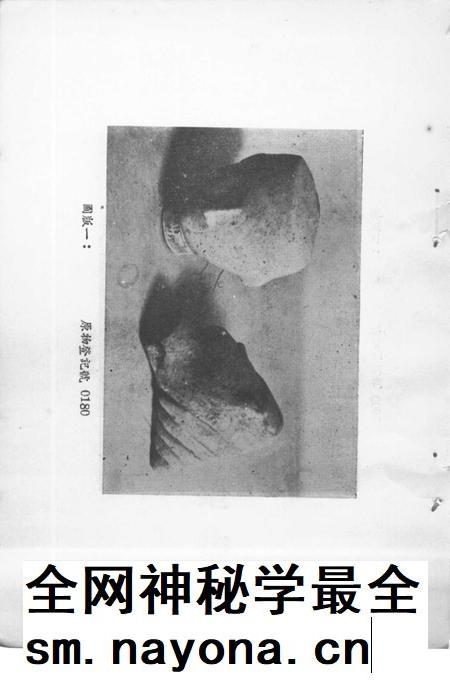 芜湖出土物展览目录.pdf电子版_安徽省志插图4