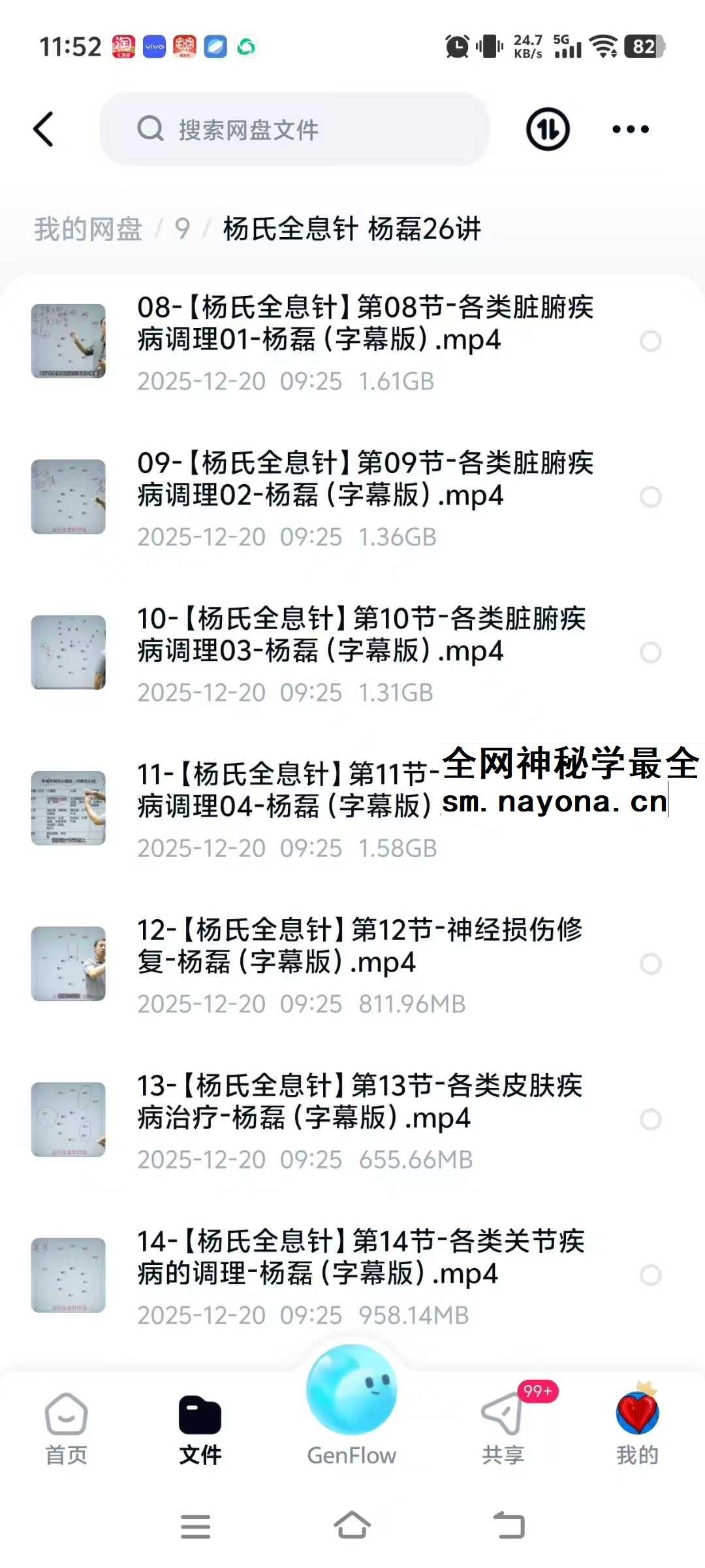 杨氏全息针