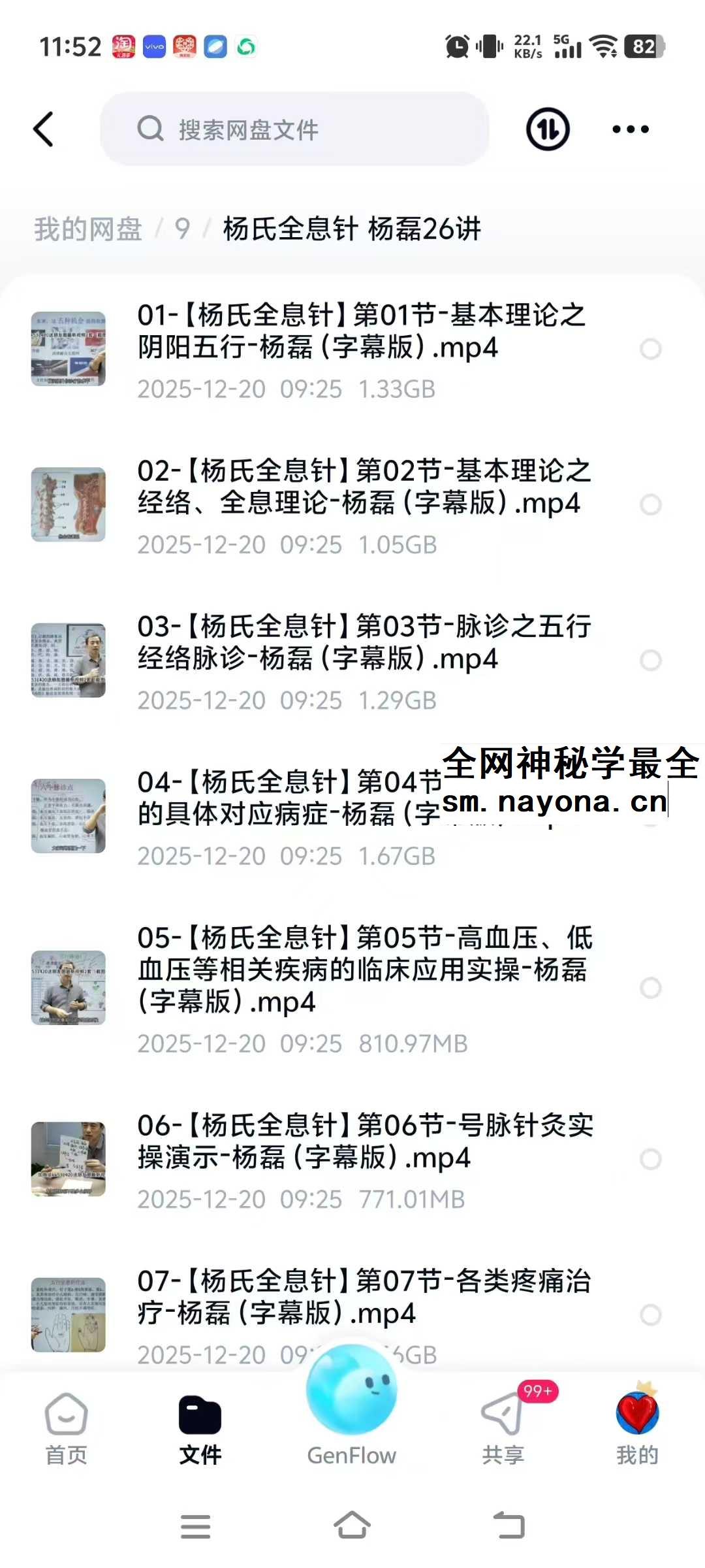 杨氏全息针