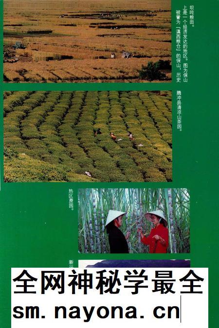 中华人民共和国地方志丛书 保山地区志 中卷.pdf电子版_河南省志插图5