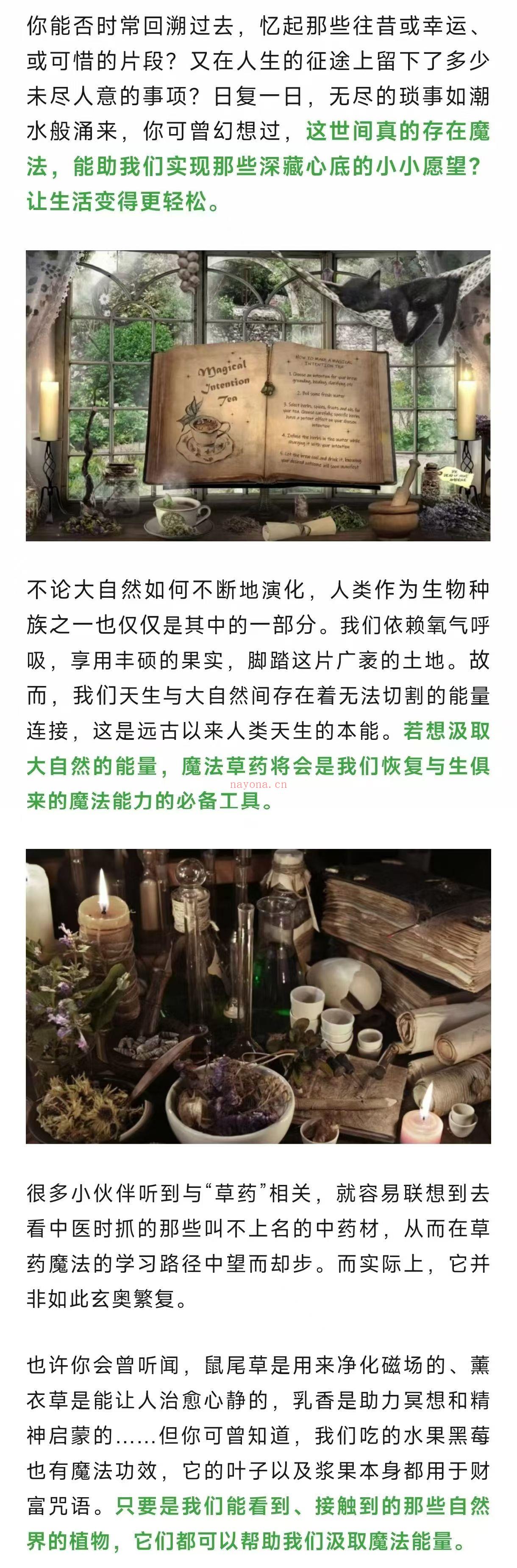 【魔草法药】万众期待的C总机构魔法必修