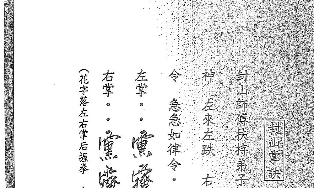 惠阳海天法师五雷顶教42面电子版 高端法本