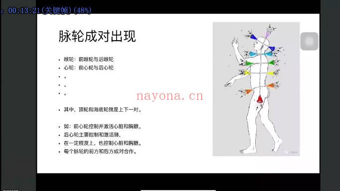 直觉超强的骆驼《七脉轮深度讲解》视频课10集