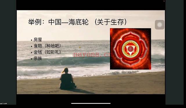 直觉超强的骆驼《七脉轮深度讲解》视频课10集