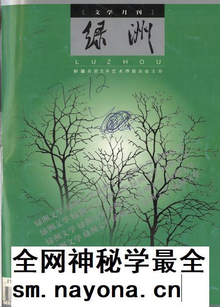 新疆绿洲2008年第07期.pdf电子版_新疆维吾尔族自治区志插图