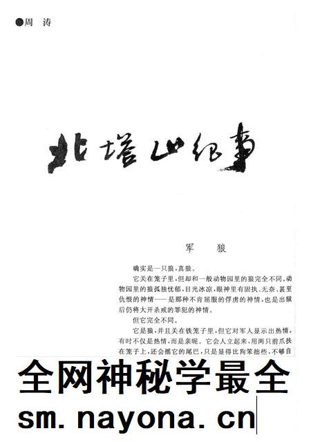 新疆绿洲1999年第04期.pdf电子版_新疆维吾尔族自治区志插图5