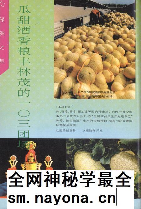 新疆绿洲1994年第02期.pdf电子版_新疆维吾尔族自治区志插图1
