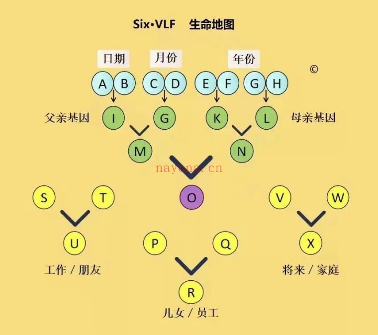 生命数字是在古希腊的数字学,结合了中国的易经,以及西方的心理学和统计学的一门学科
