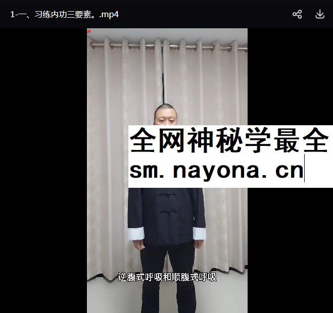 丹田内劲练习4集