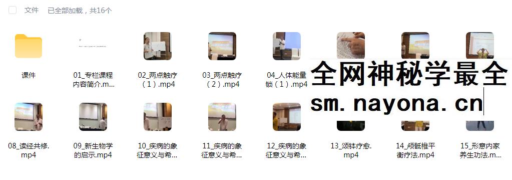 殷浩然整合疗愈终南山夏令营15集+课件