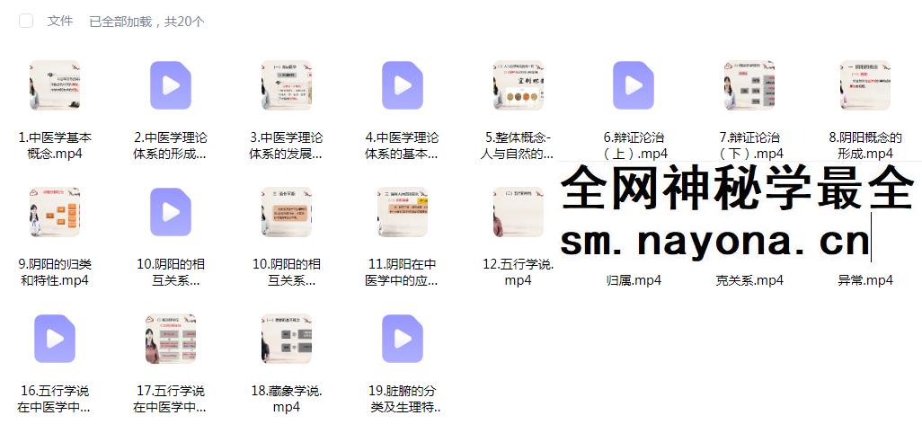 刘毕勇 中医心理系列精品视频（高级班）89集