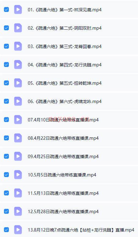 谭健康 道家养生功法《疏通六绝》视频21集