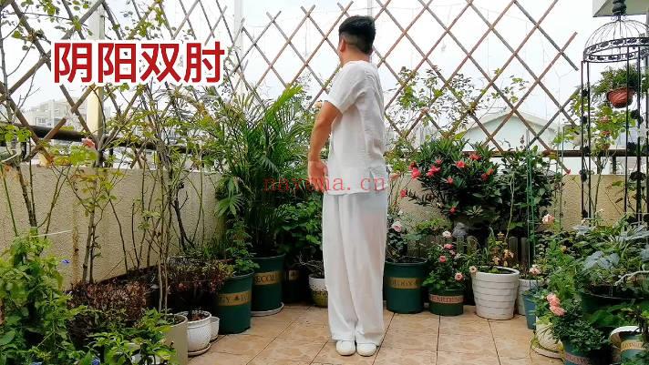 谭健康 道家养生功法《疏通六绝》视频21集
