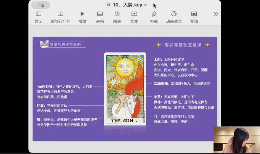 《菜菜的塔罗零基础直通课》27集视频课