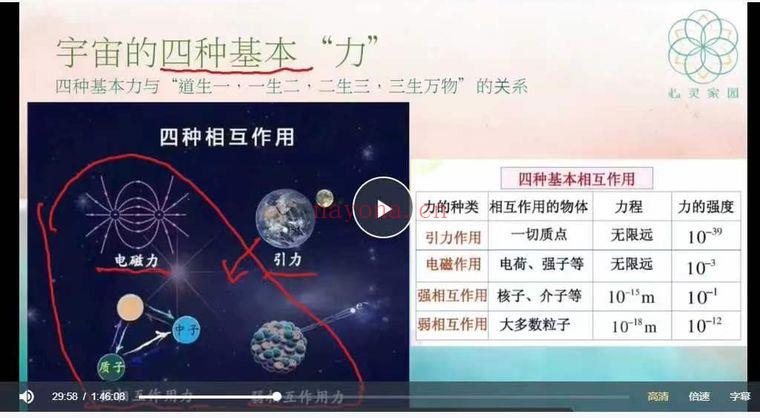 心灵家园 Mike老师《高维意识解读 道德经》做自己的主人 31集视频课