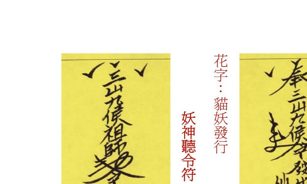 茅山法师入门金钥44页电子版 高端法本