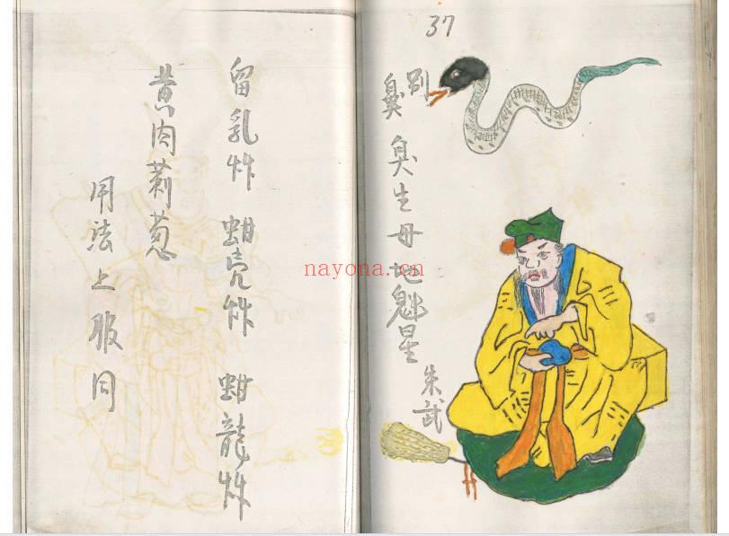 民间私藏彩抄本《108好汉蛇药簿》99筒子页.PDF电子版
