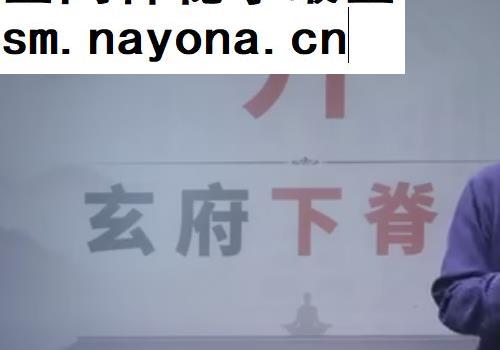 吴子玉老师河间古技玄府20门视频课程23集