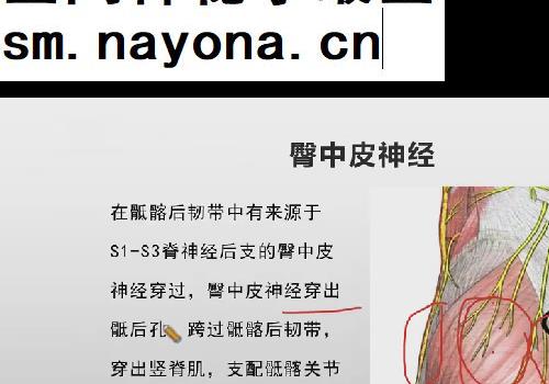 翟天军神经减张疗法实战应用线上训练营20天视频课程