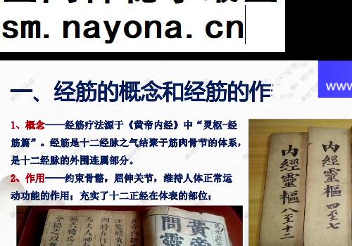 杨茜兰中医视频课程4套合集