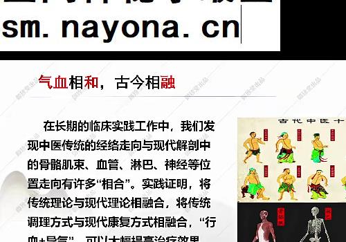 芮喜东六合补心益脑术十四期视频课程9集
