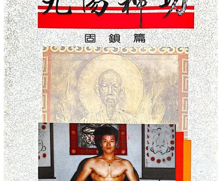 涂金湶九阳神功固锁篇视频加文档电子版 高端法本