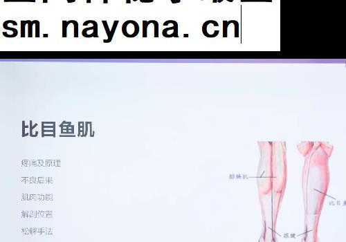 李一鸣一招制胜解决30种肌肉疼痛视频课程31集