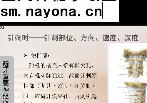 桑氏针灸初级班第三期杭州站视频课程34集