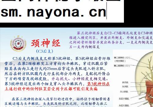 王少华针刀医学在颈椎病临床应用专科解剖颈椎专题视频课程13集