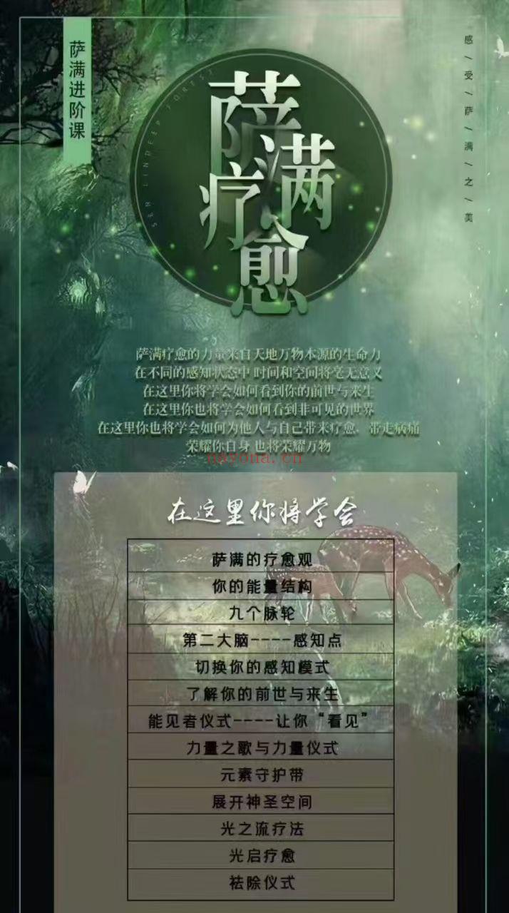 印加萨满】泥鳅老师·印加萨满基础➕进阶➕高阶全套课程