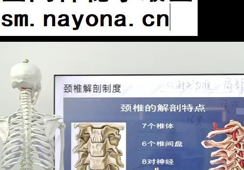 马世奎回医敦煌正骨视频课程15节