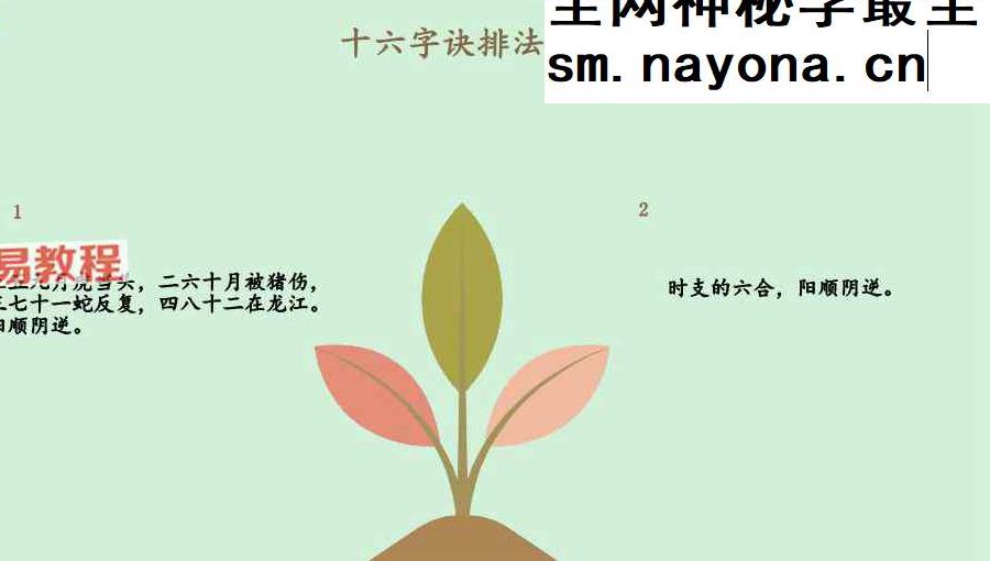 玄女16字决课件pdf